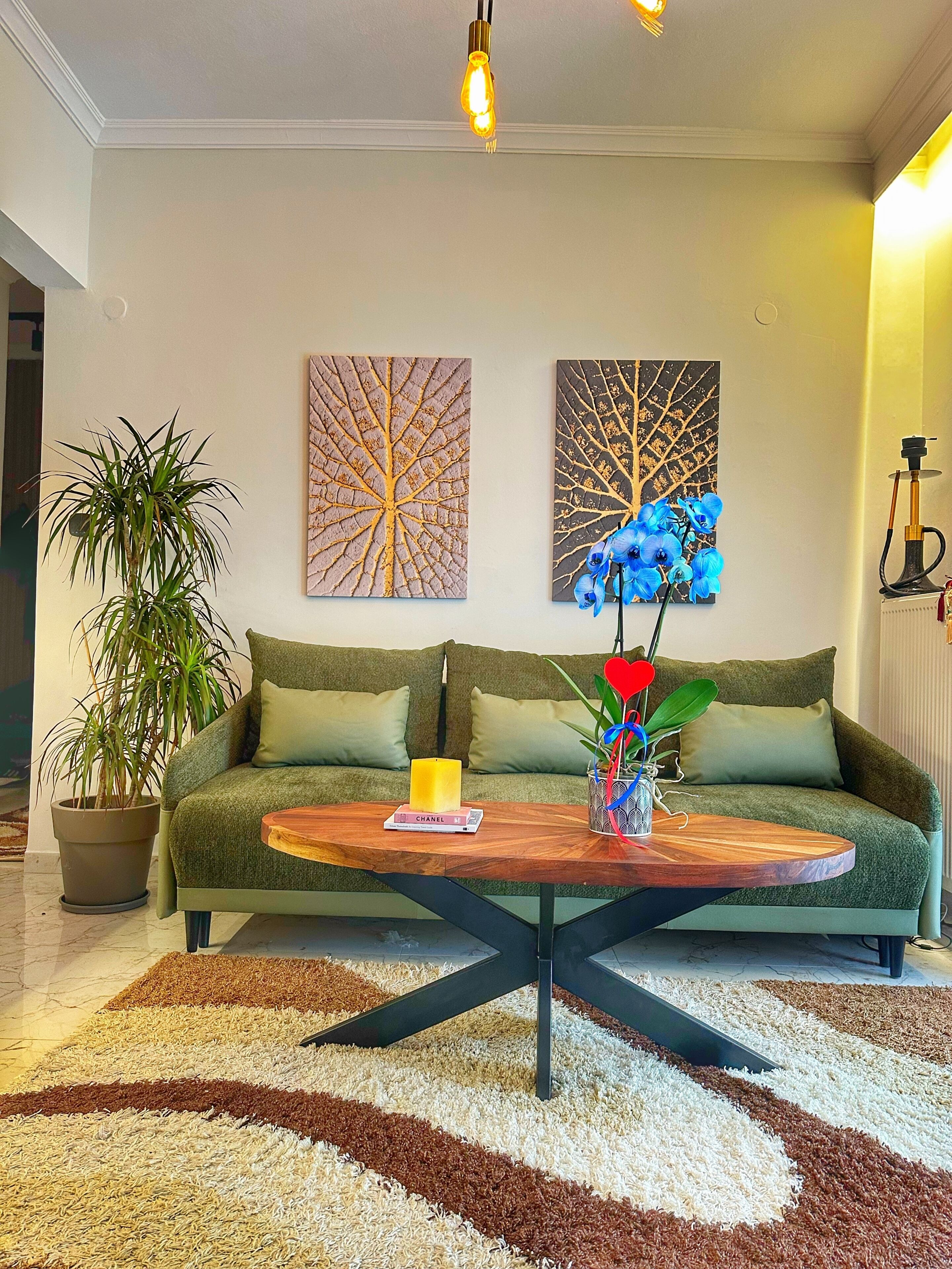 Living room! Bed-sofa!