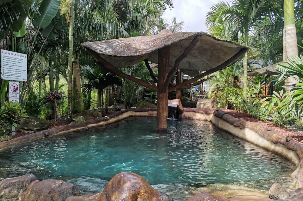 Hotel Palmera Real Hot Springs