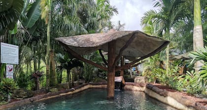 Hotel Palmera Real Hot Springs
