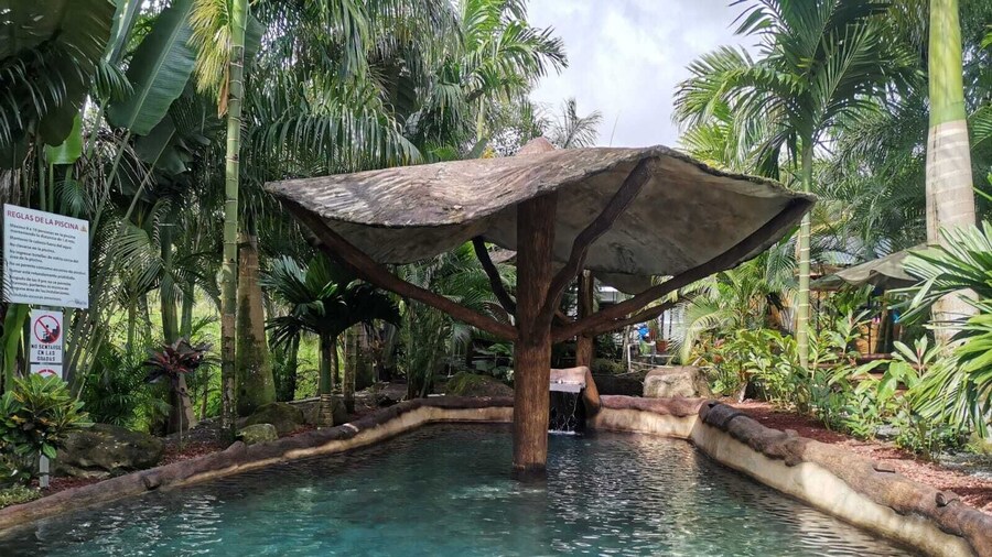 Hotel Palmera Real Hot Springs