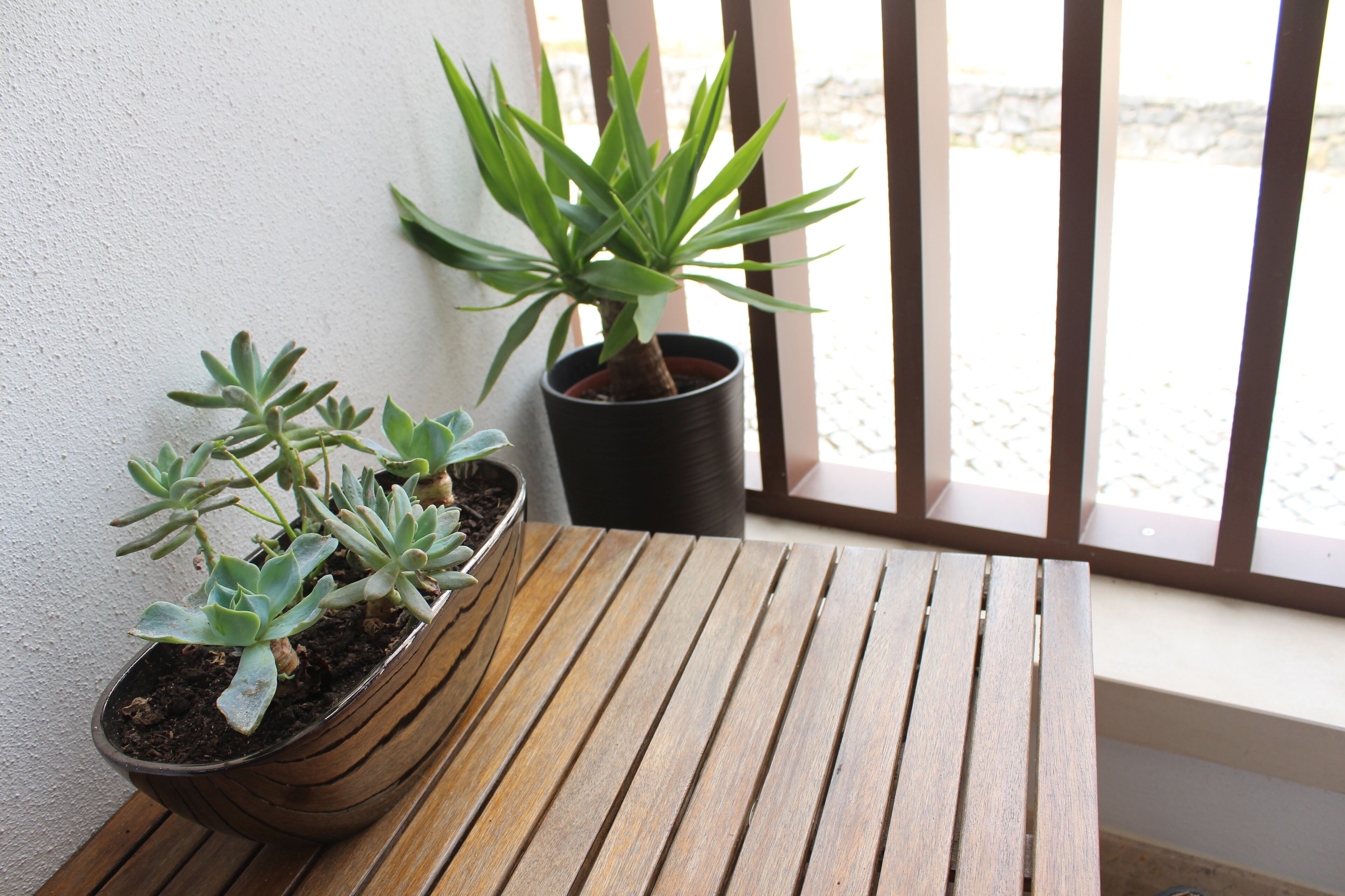 Una mesa de madera con dos macetas, una con hojas anchas y otra con hojas delgadas, ubicada en un balcón con vista al suelo.