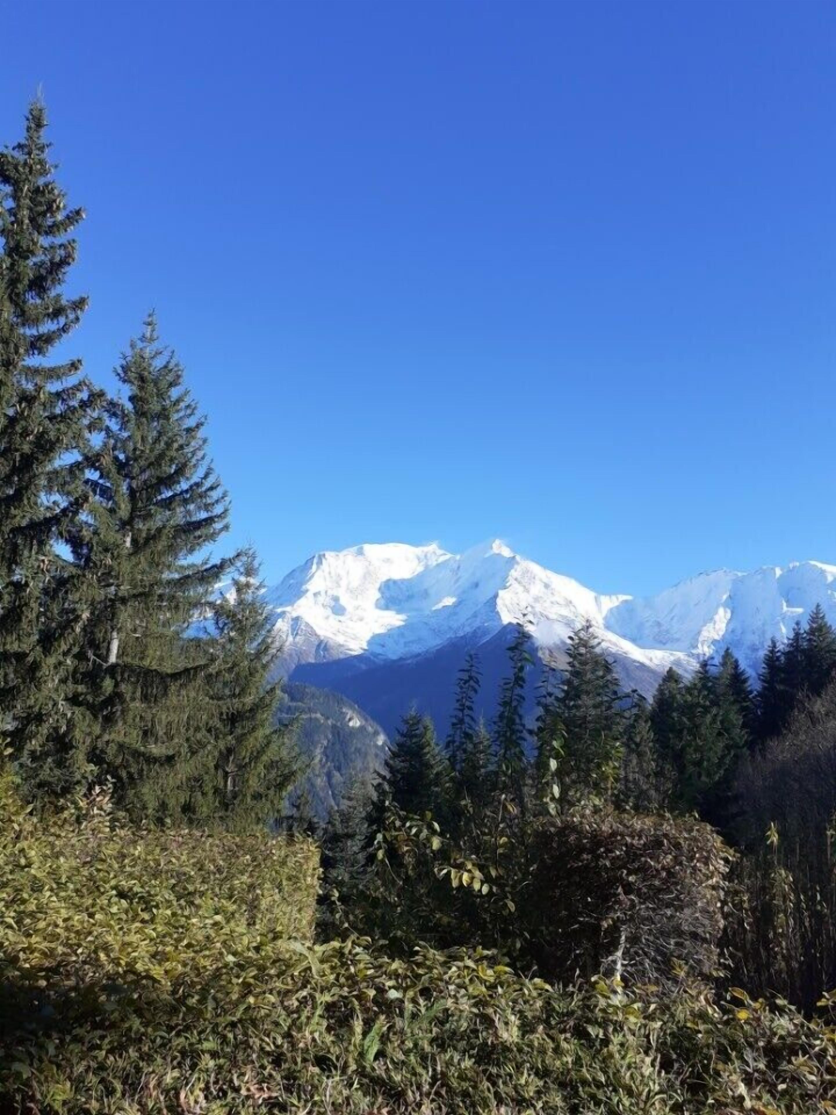 Cosy studio with garden and view of Mont Blanc