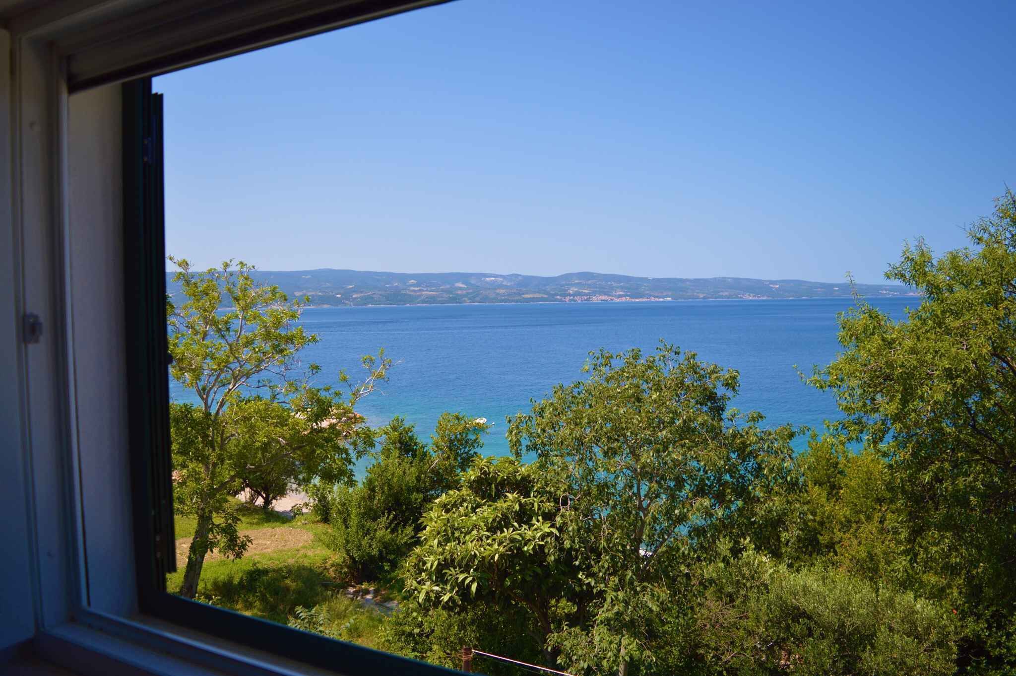 A view through a window of a coastal landscape with trees and a clear blue sea.