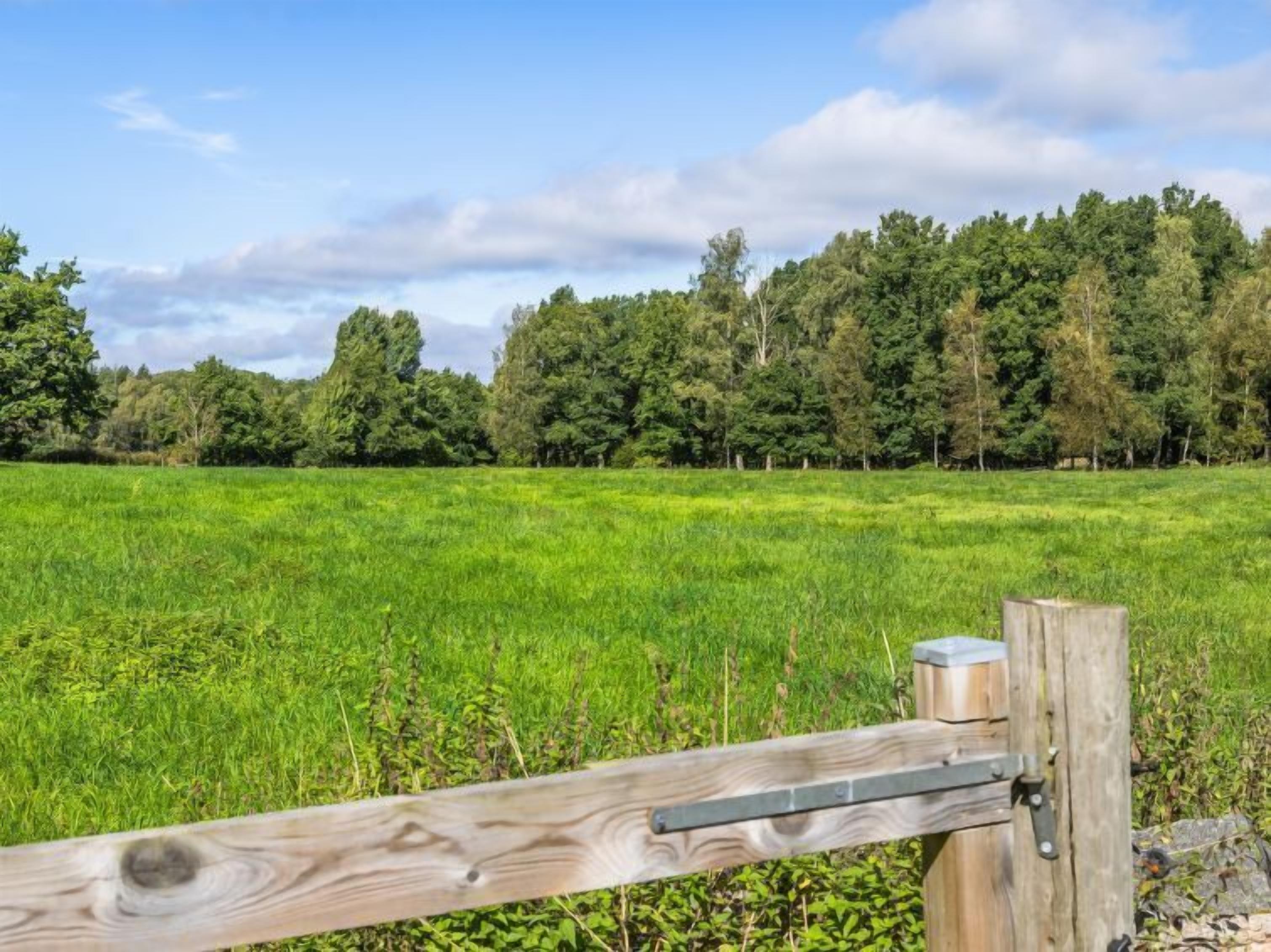 A wooden gate in a lush green field with a forest in the background.