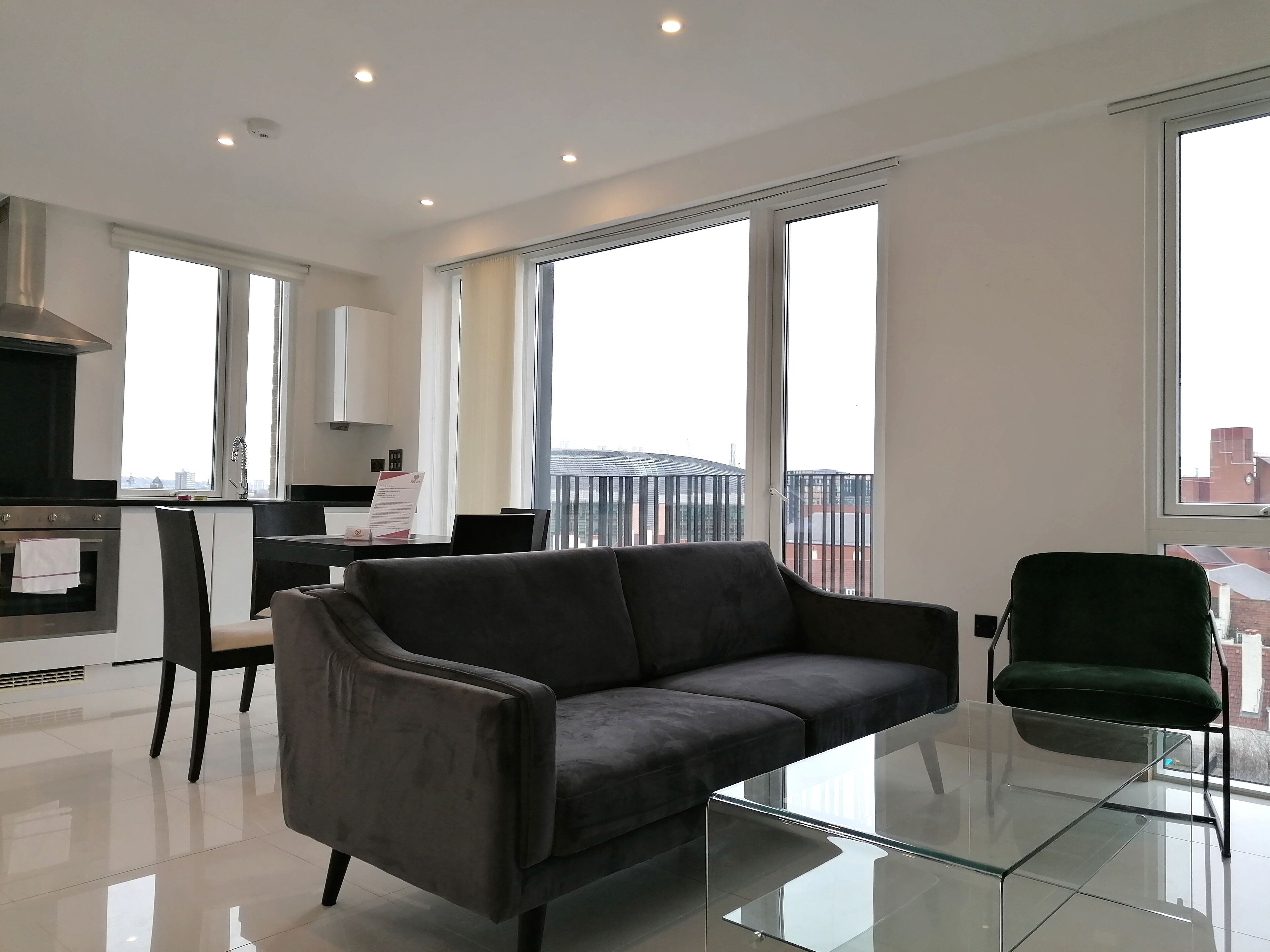 Deluxe Apartment | Living area