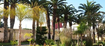 ART SUITES EL JADIDA