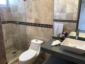 A bathroom with a toilet, a shower, a sink, and a mirror.