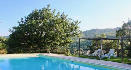 Vacation among the Vineyards - Apartment La Lavanda