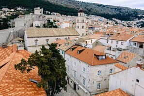 Explore a well-preserved historic town with a majestic castle on a hill, surrounded by charming, terracotta-roofed buildings.
