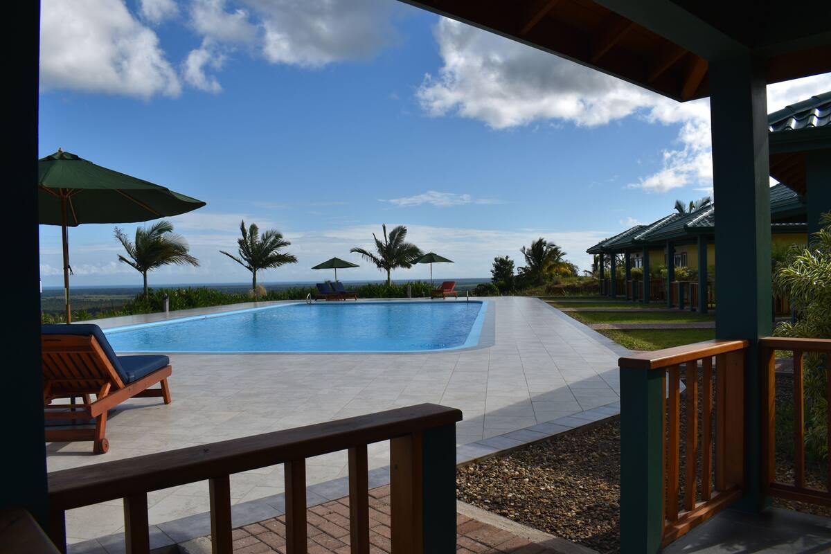 A swimming pool with lounge chairs and umbrellas, surrounded by palm trees and a view of the ocean.