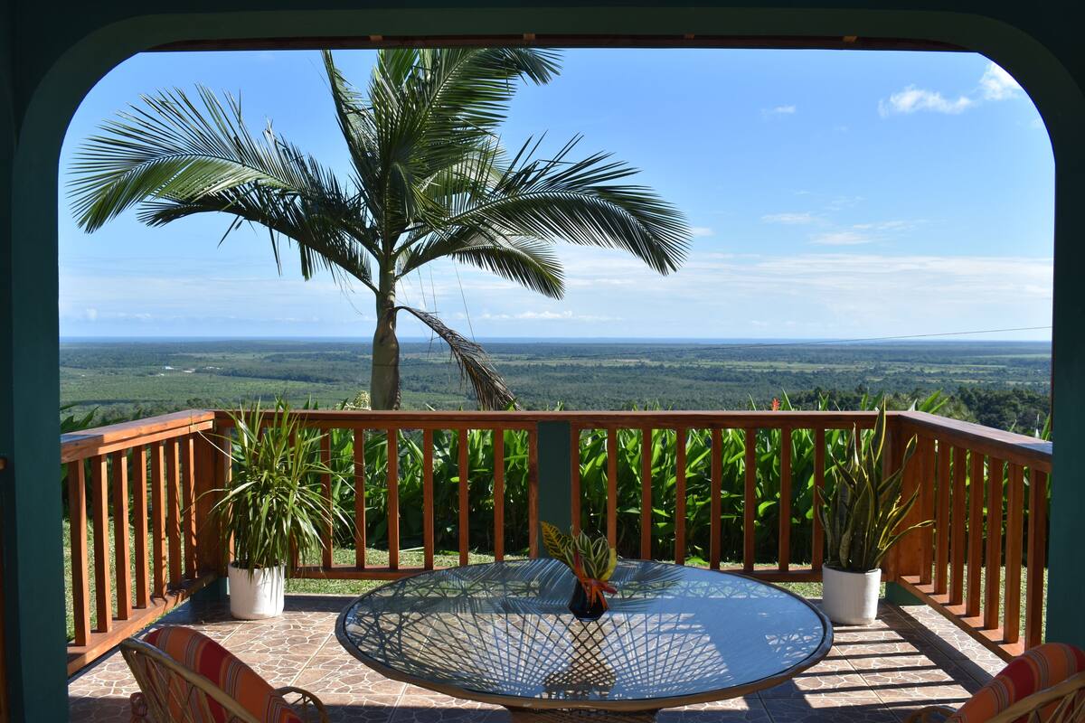 A balcony with a glass table and chairs, potted plants, and a view of a palm tree and landscape.