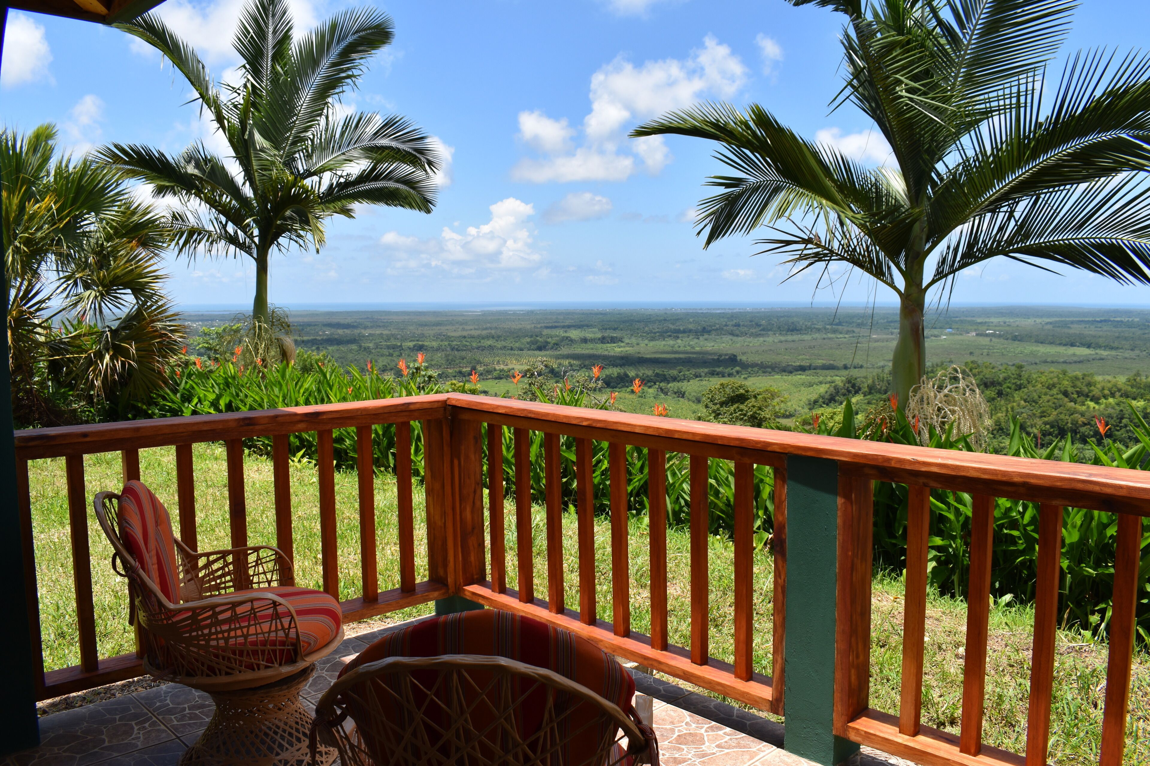 Um deck de madeira com cadeiras de vime, com vista para uma paisagem exuberante com palmeiras e o horizonte ao longe.