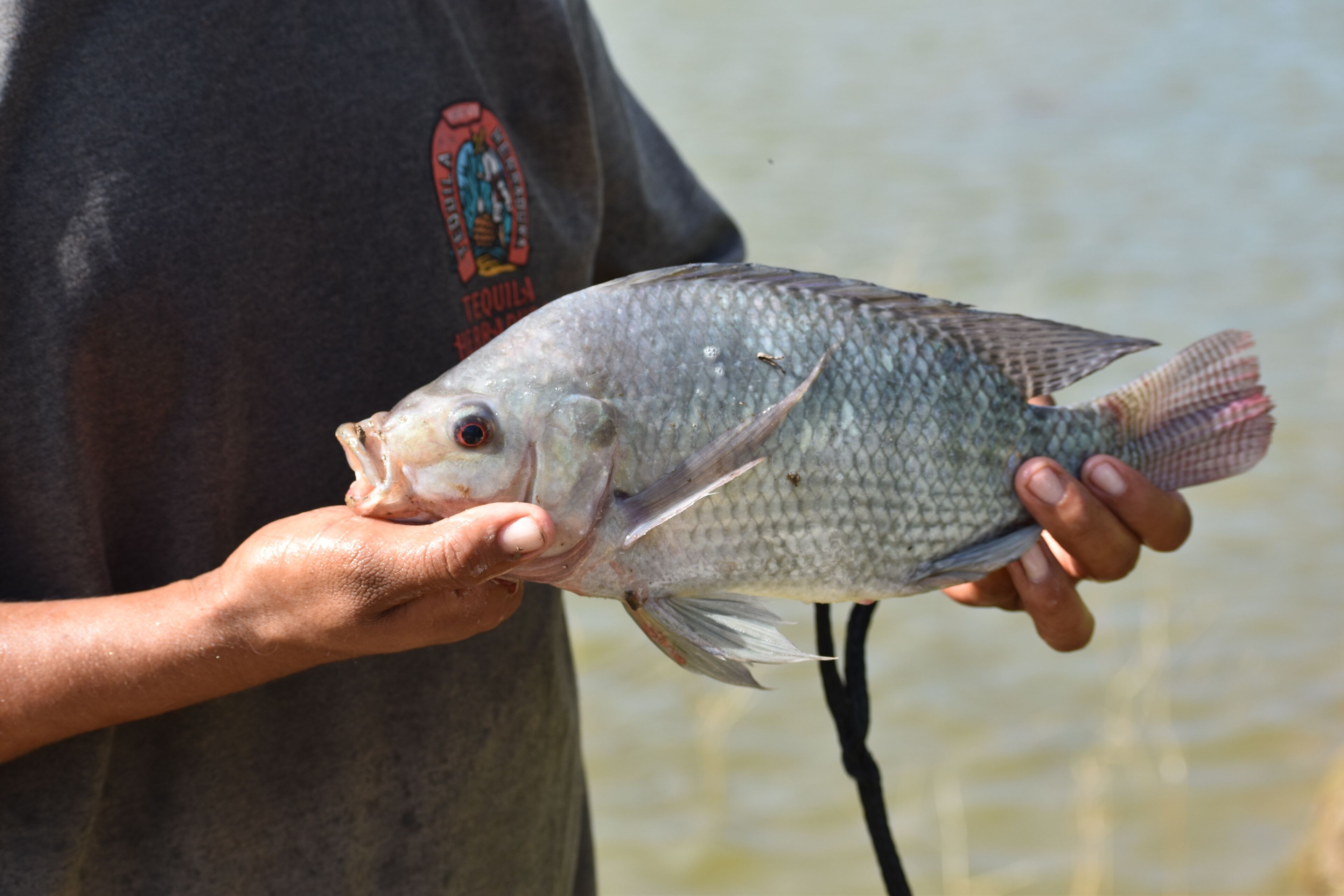 A person holding a fish.