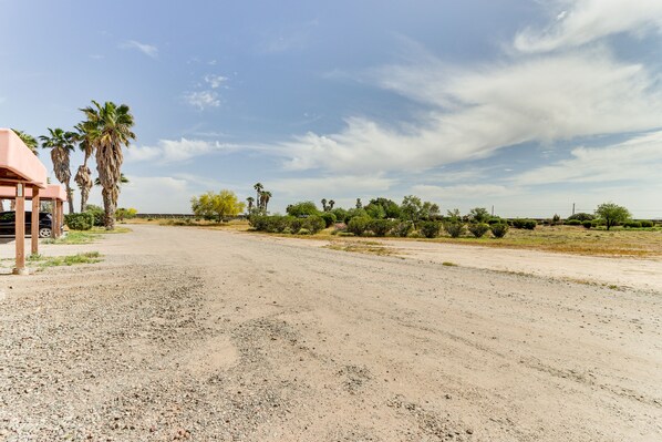 A gravel road with palm trees and sparse vegetation.