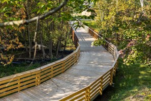 Meander through the serene wooded surroundings along this picturesque boardwalk.