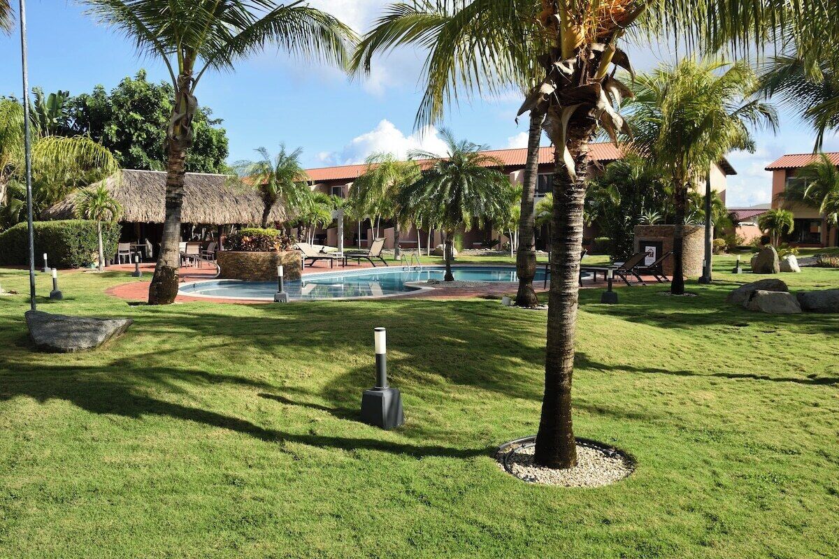 A pool area with palm trees, a thatched-roof structure, and a building with a red roof in the background.