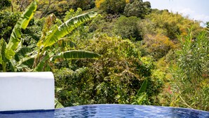 Une piscine offrant une vue sur la verdure et les collines environnantes.