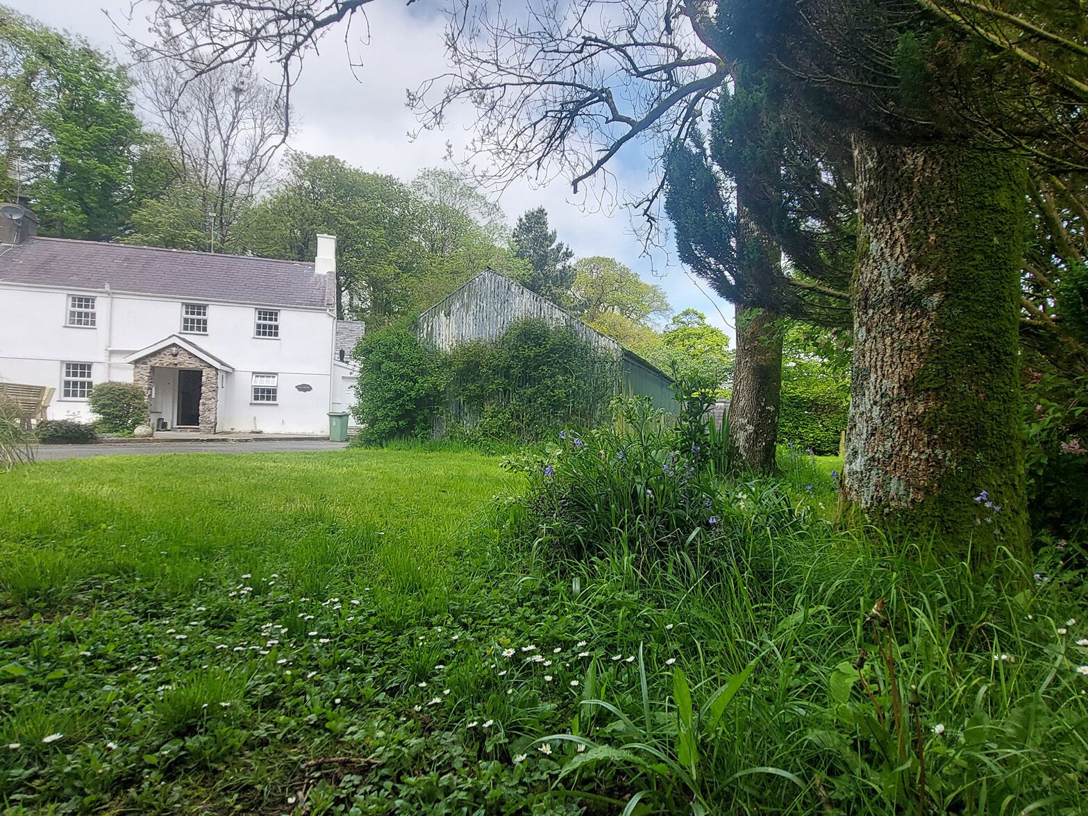 Une maison blanche avec une entrée en pierre, entourée d’une pelouse verdoyante et d’arbres.