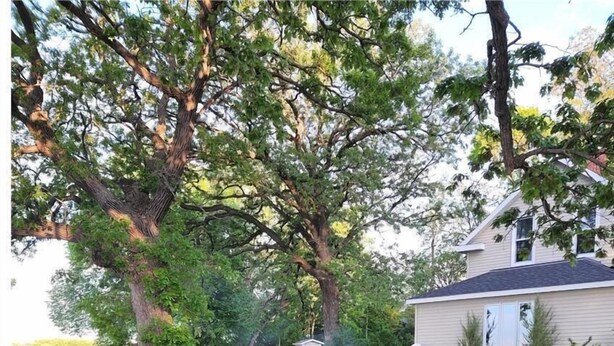 Un jardín trasero con césped, un hogar para fuego y mobiliario exterior.