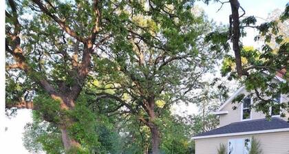 200' of Shoreline on Foot Lake! Great fishing and swimming in Willmar MN