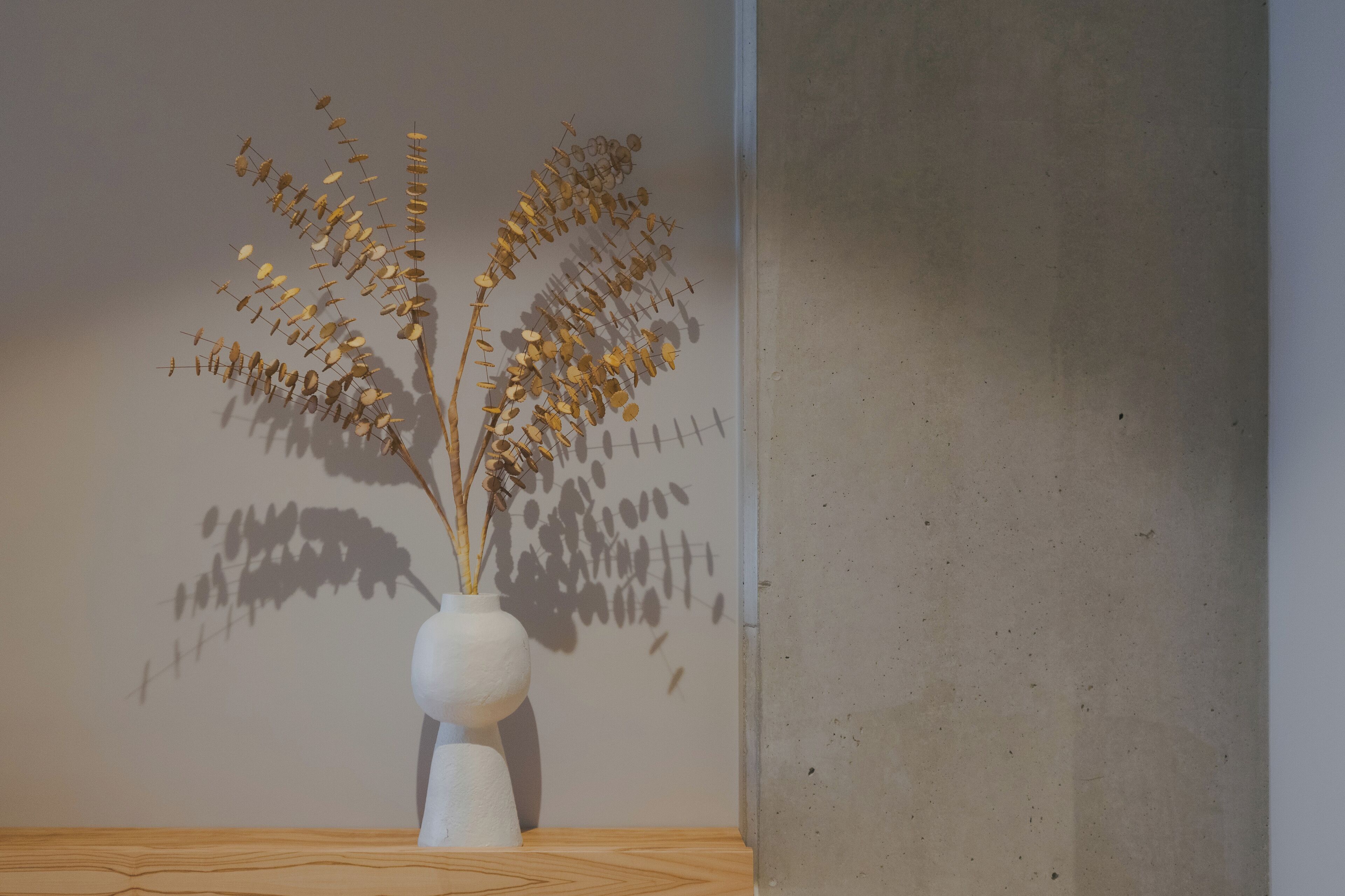 Un jarrón blanco con plantas secas sobre una superficie de madera, frente a una pared lisa.