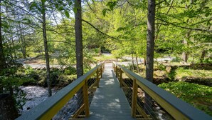 Eine Holzbrücke mit gelben Geländern, die in eine natürliche Landschaft mit Bäumen und einem Bach führt.