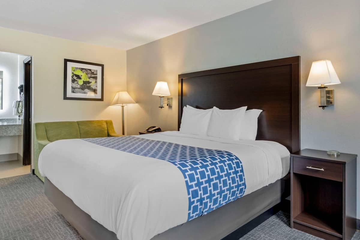 Desk, blackout curtains, iron/ironing board (on request), free WiFi