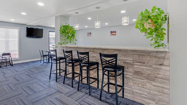 Una zona de bar moderna con mostrador de madera, taburetes negros, plantas colgantes e iluminación empotrada en el techo.