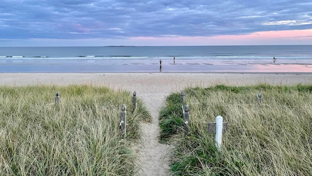 Ein Strandweg führt zum Ufer, vorbei an grasbewachsenen Dünen, unter einem klaren Himmel.