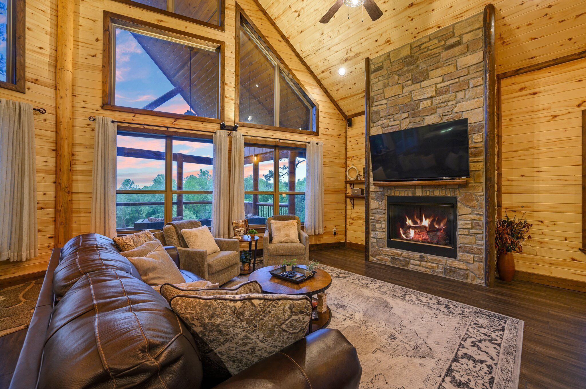 Smart TV, fireplace, books, music library