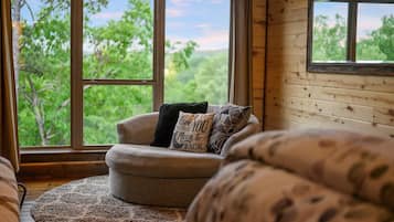 Smart TV, fireplace, books, music library