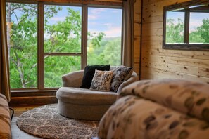 Smart TV, fireplace, books, music library