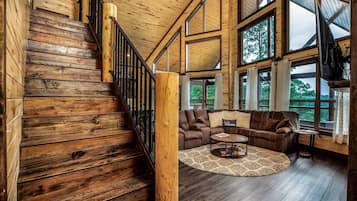 Smart TV, fireplace, books, music library