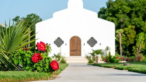 A pathway leading to a white building with a wooden door and decorative elements. - La Palmilla Texas (Glen Rose)