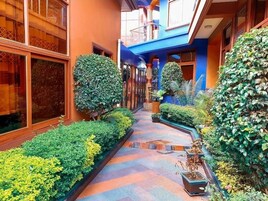 A narrow, tiled corridor with a central pathway flanked by lush green hedges and potted plants.