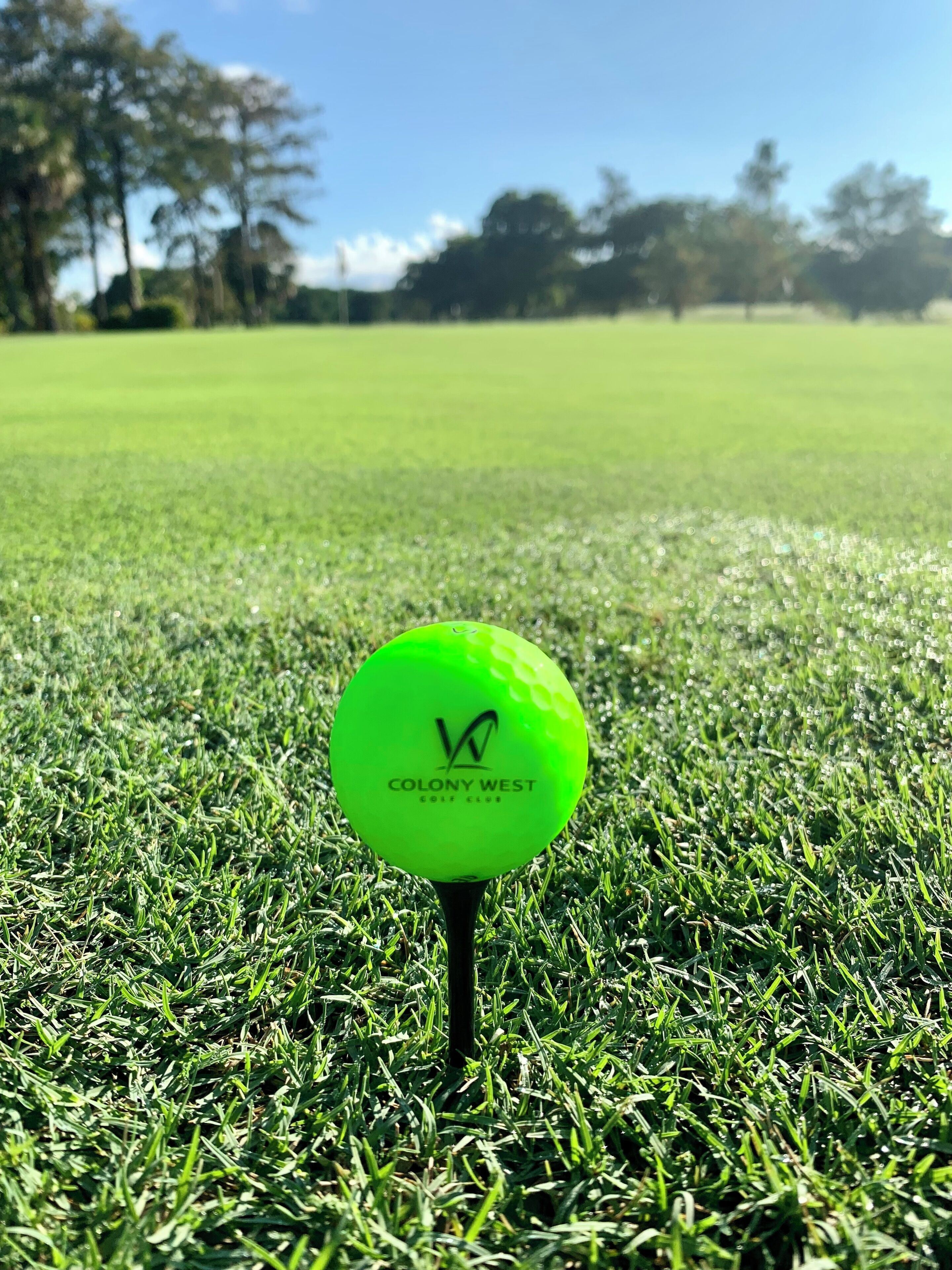 A golf ball on a tee in a grassy field.