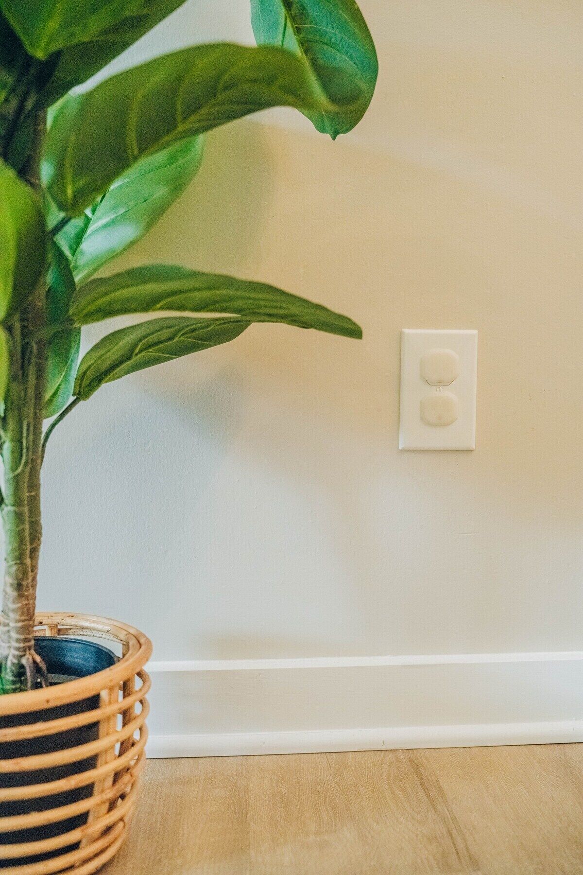 Una planta en maceta dentro de una cesta tejida sobre un suelo de madera, junto a una pared blanca con un interruptor de luz.