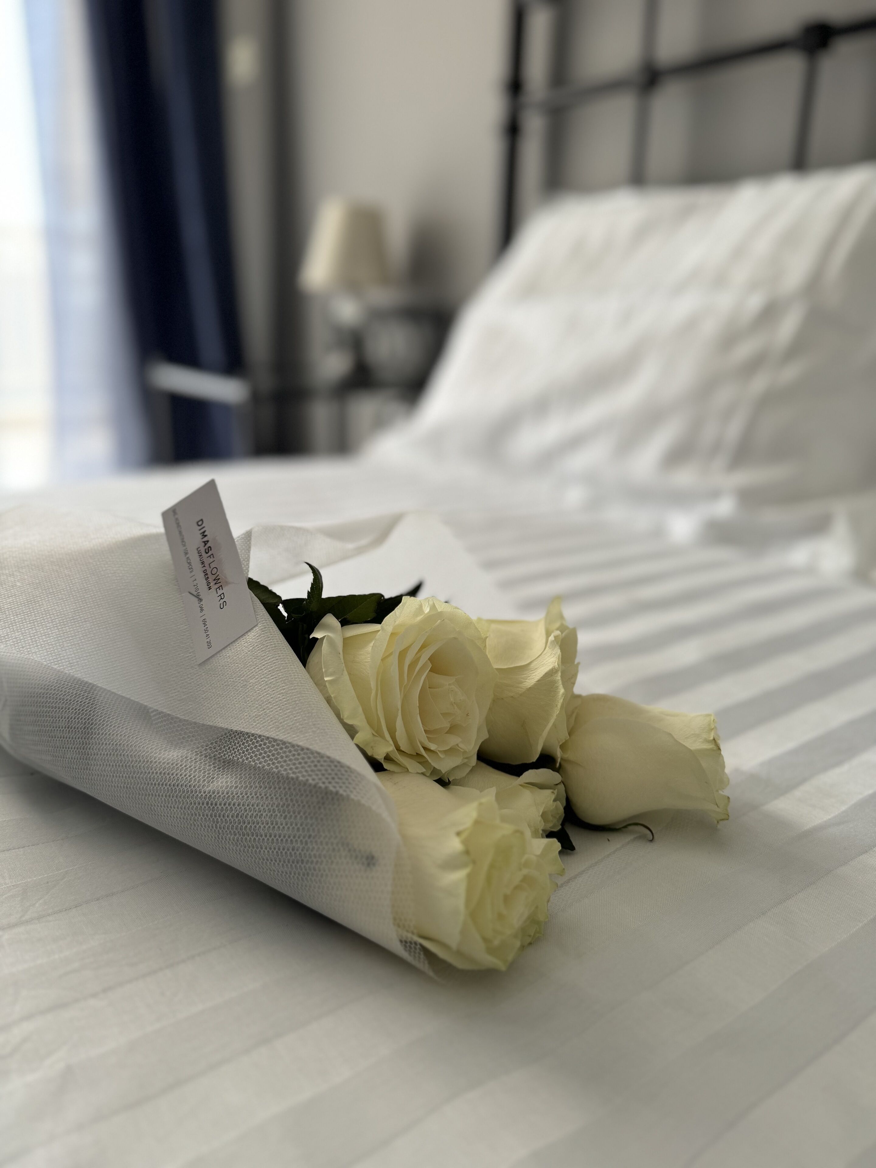 A cozy apartment in the heart of Vouliagmeni city, 20min walk for the beach.