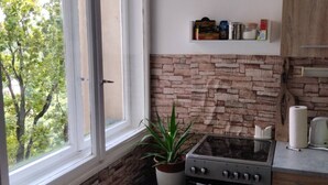 A compact kitchen with a brick wall backsplash, a gas stove, and a small countertop. - Salimana charming apartman (Novi Sad)