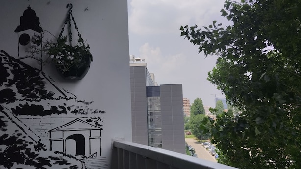 A balcony with a view of a cityscape, a wall mural, and hanging plants. - Salimana charming apartman (Novi Sad)