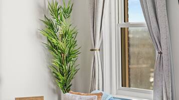 Smart TV, fireplace, books