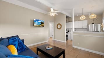 Fernseher, Arbeitsbereiche