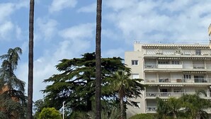Due palme alte sullo sfondo di un cielo sereno, con un edificio a più piani.