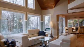 Smart TV, fireplace, video games, DVD player