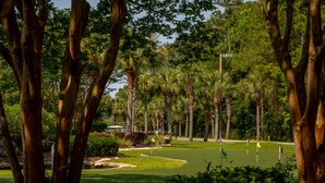 A golf course with a well-maintained green, surrounded by tall trees and a clear sky. - 2 BR Dog-Friendly Condo W/ Free Golf Cart, Pool and Other Resort Amenities (Myrtle Beach)