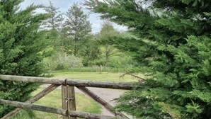 Garden view - Moulin Le Fleurie  (Charenton-du-Cher)