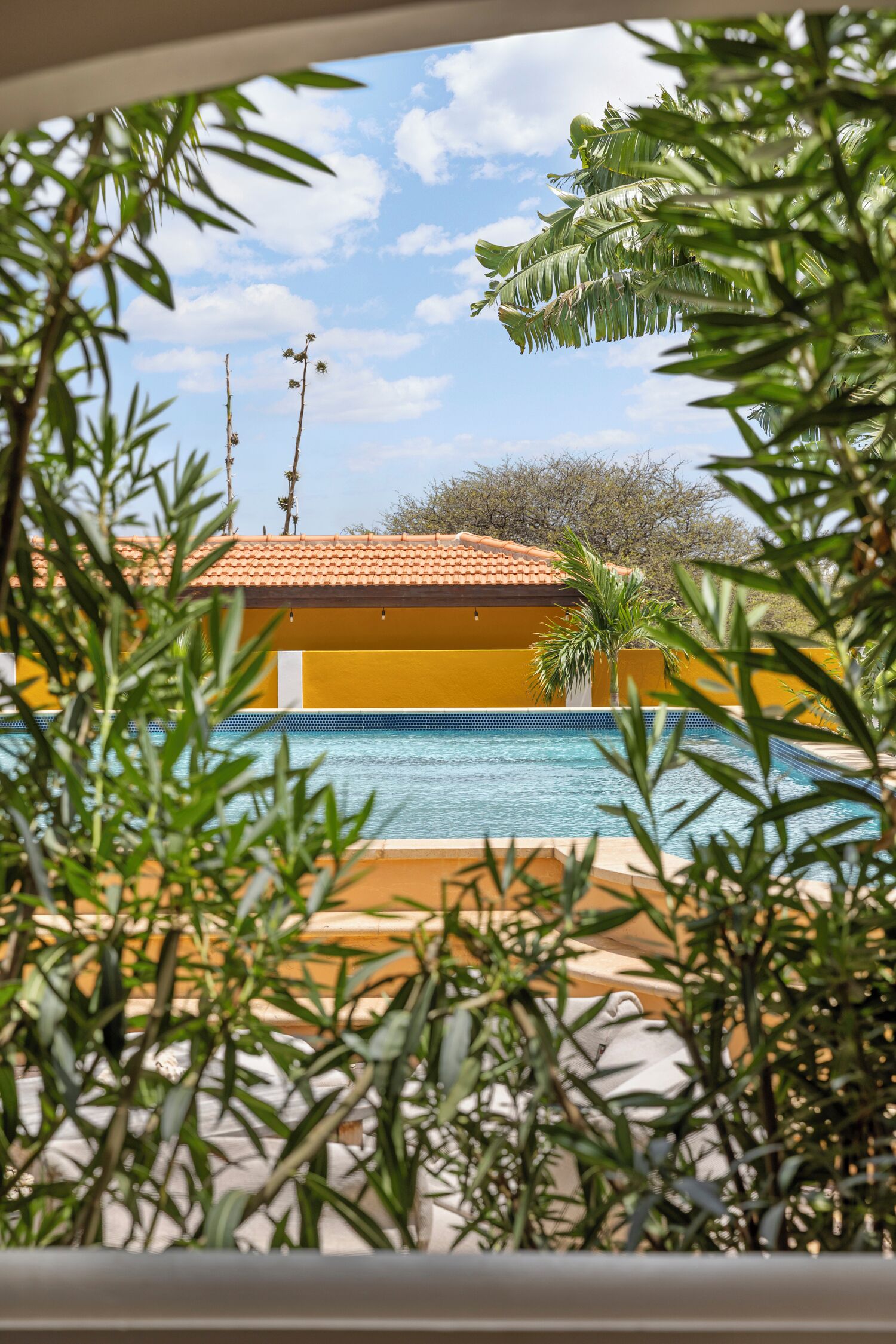 A pool area with a yellow building in the background, surrounded by greenery.