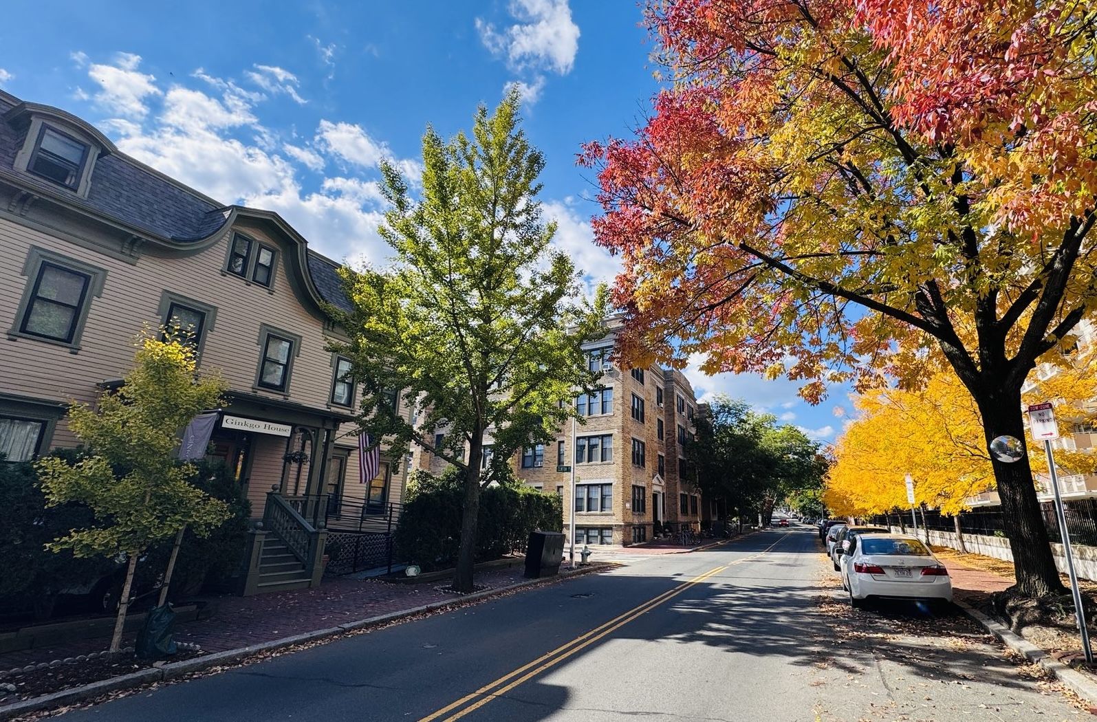A street view with a row of multi-story buildings, a tree with autumn foliage, and a parked car.