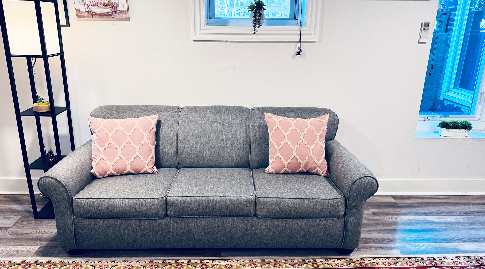 A grey sofa with two patterned cushions, a black shelving unit, a small plant on the windowsill, and a patterned rug.
