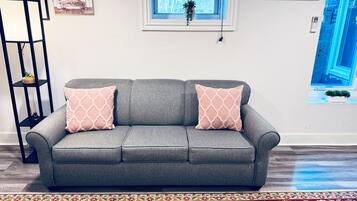 A grey sofa with two patterned cushions, a black shelving unit, a small plant on the windowsill, and a patterned rug.